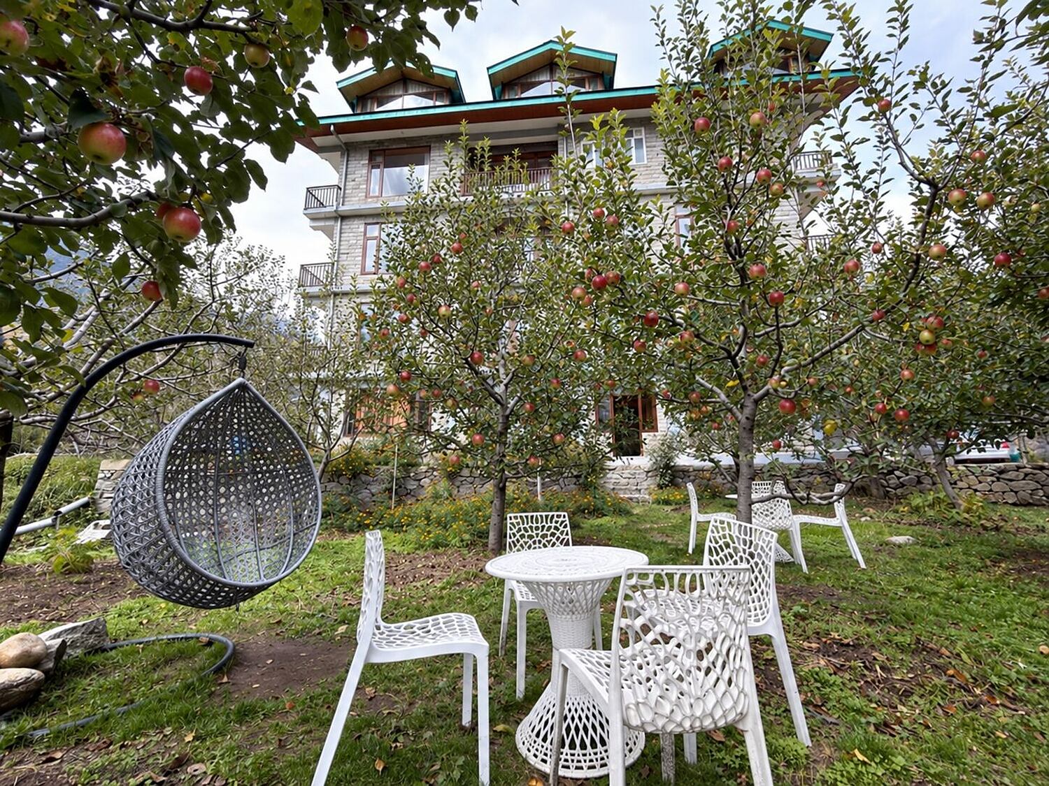Orchid garden at MR Villa Manali